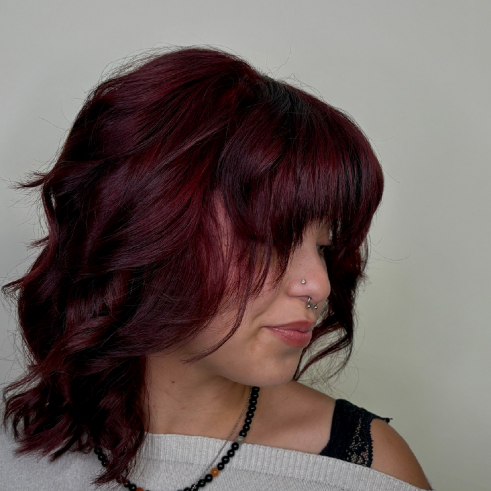 All Over Color at Rich Looks Studio in Meridian, ID