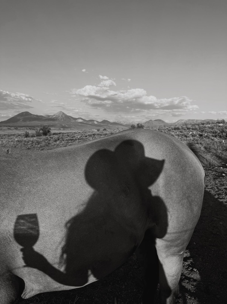 Tinsel at Salon Idyll in Rochelle, IL