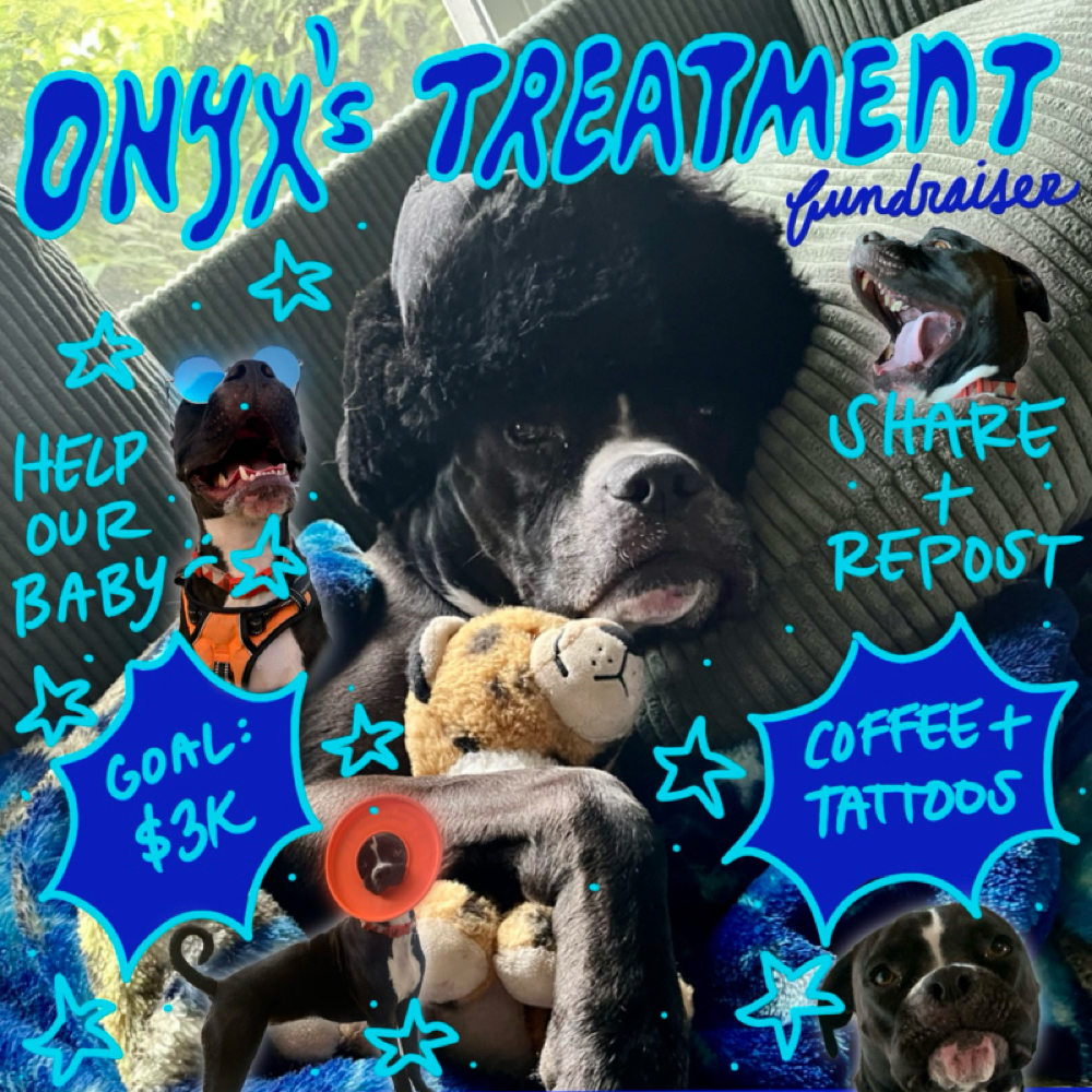 Onyx’s Treatment Fundraiser at Future Sick Tattoos in San Antonio, TX