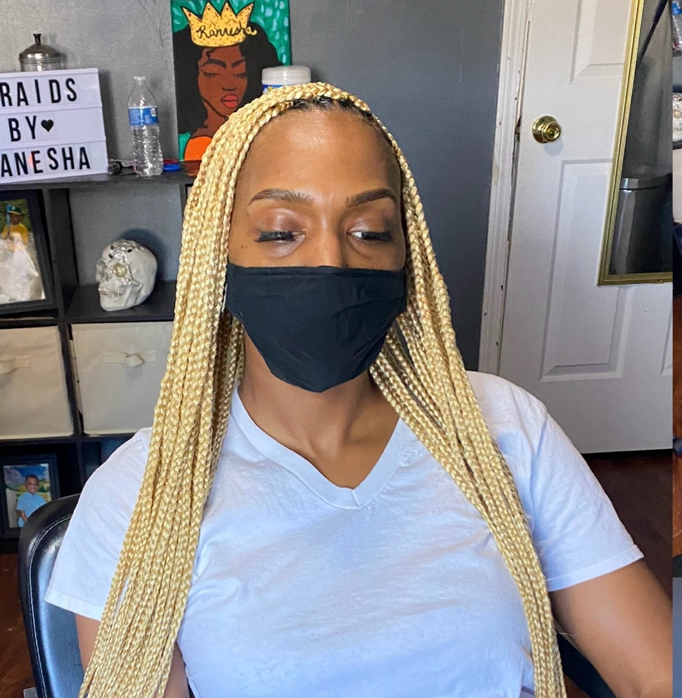 Small MidBack Knotless Braids/Twist at Braids By RaNesha in Olive Branch, MS