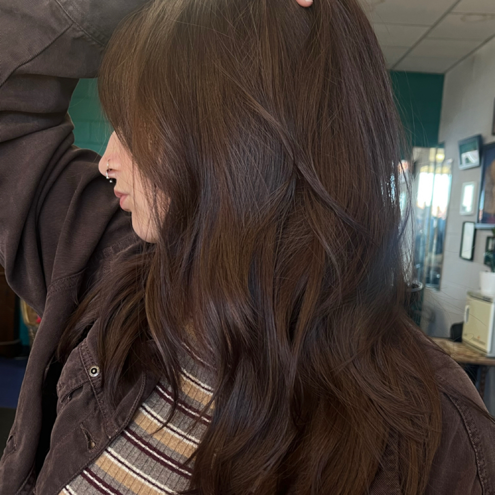 The Haircut at Fab Gab Hair in Johnson City, TN