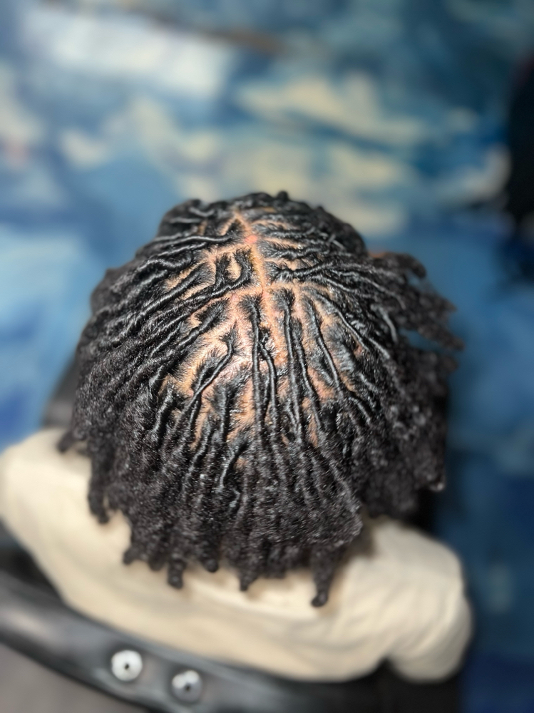 Small Locs - Wash & Retwist Only