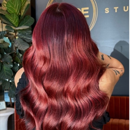 New Guest Color Consult at APEX HAIR + COLOR STUDIO in Austin, TX