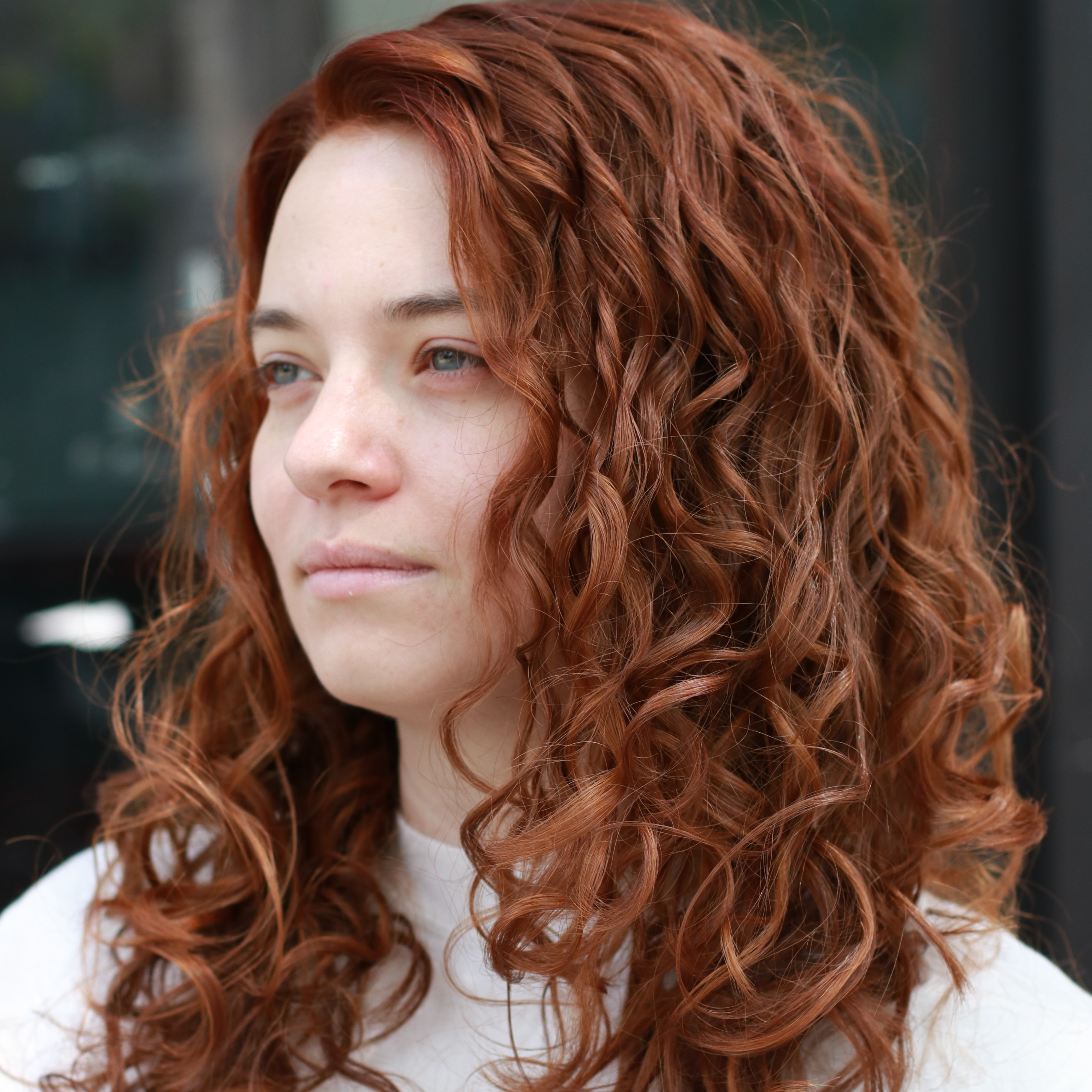 Partial Highlight + Haircut + Style