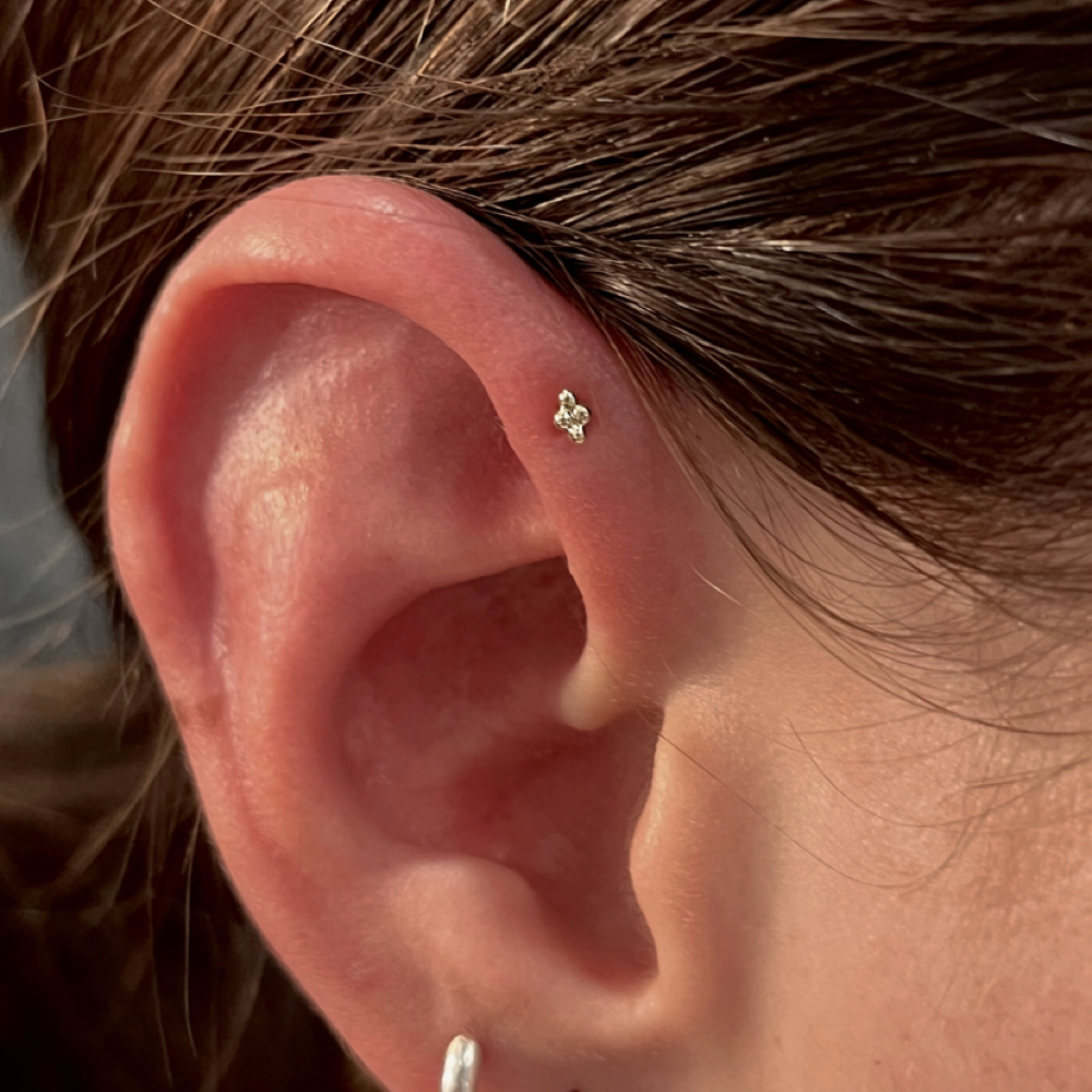 Forward Helix at Monarch Piercing Studio in Logan, UT