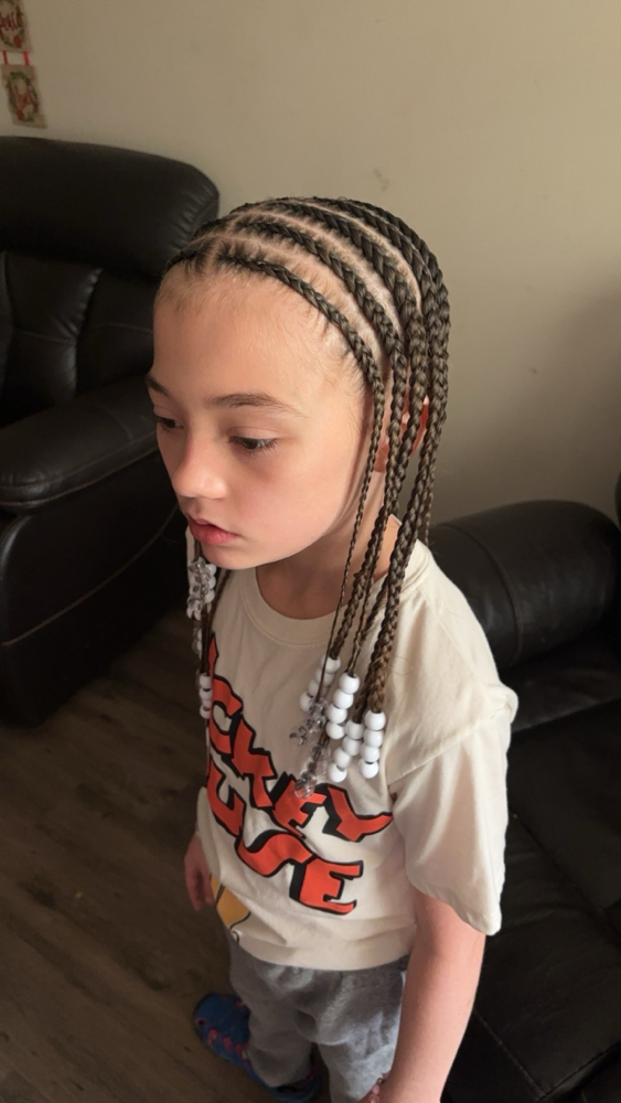 Natural Hair Braids /2 Strand Twist