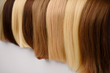 Color, Full Highlight and Haircut