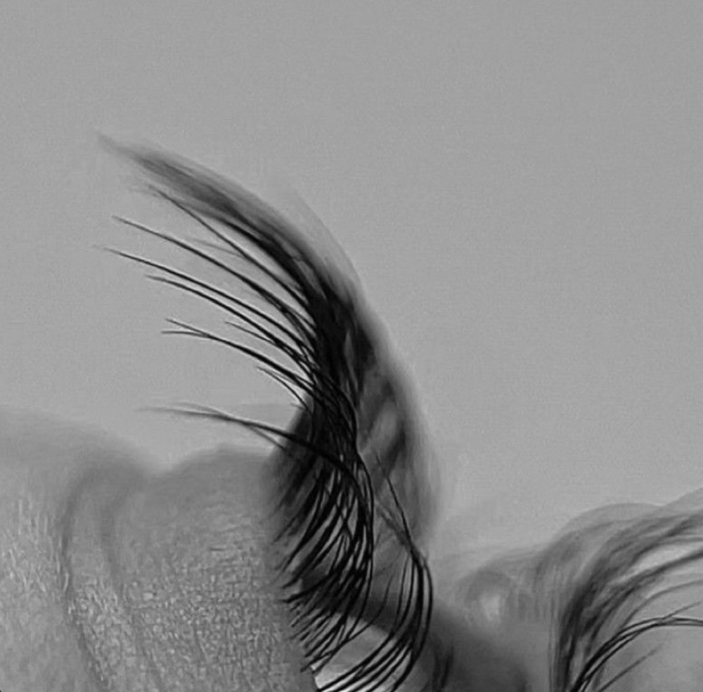 Lash lift + tint