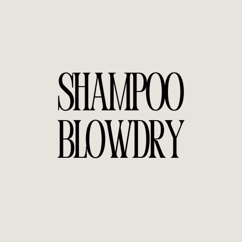 Shampoo-Blowdry