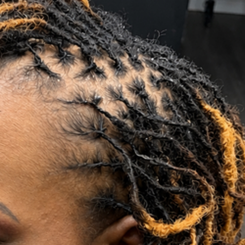 Microlocs Full Retie at DeLisha Doin’ Locs Well in Charlotte, NC