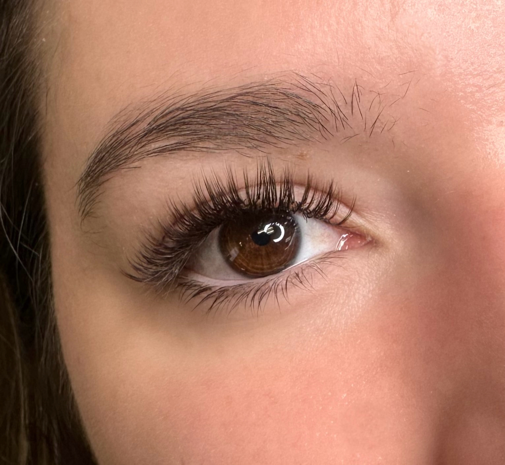 Brown Full Set