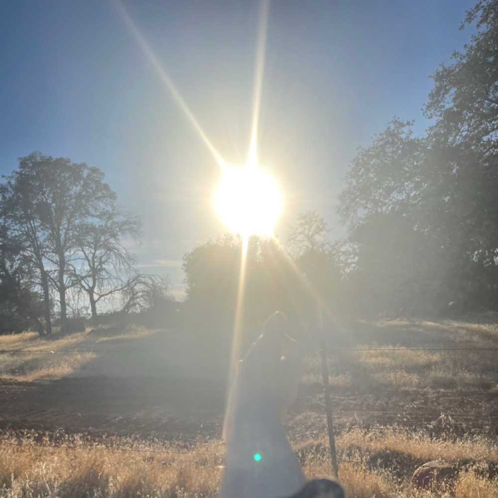 Golden Hour - 90 Minutes at Golden Hour Massage in Test, CA