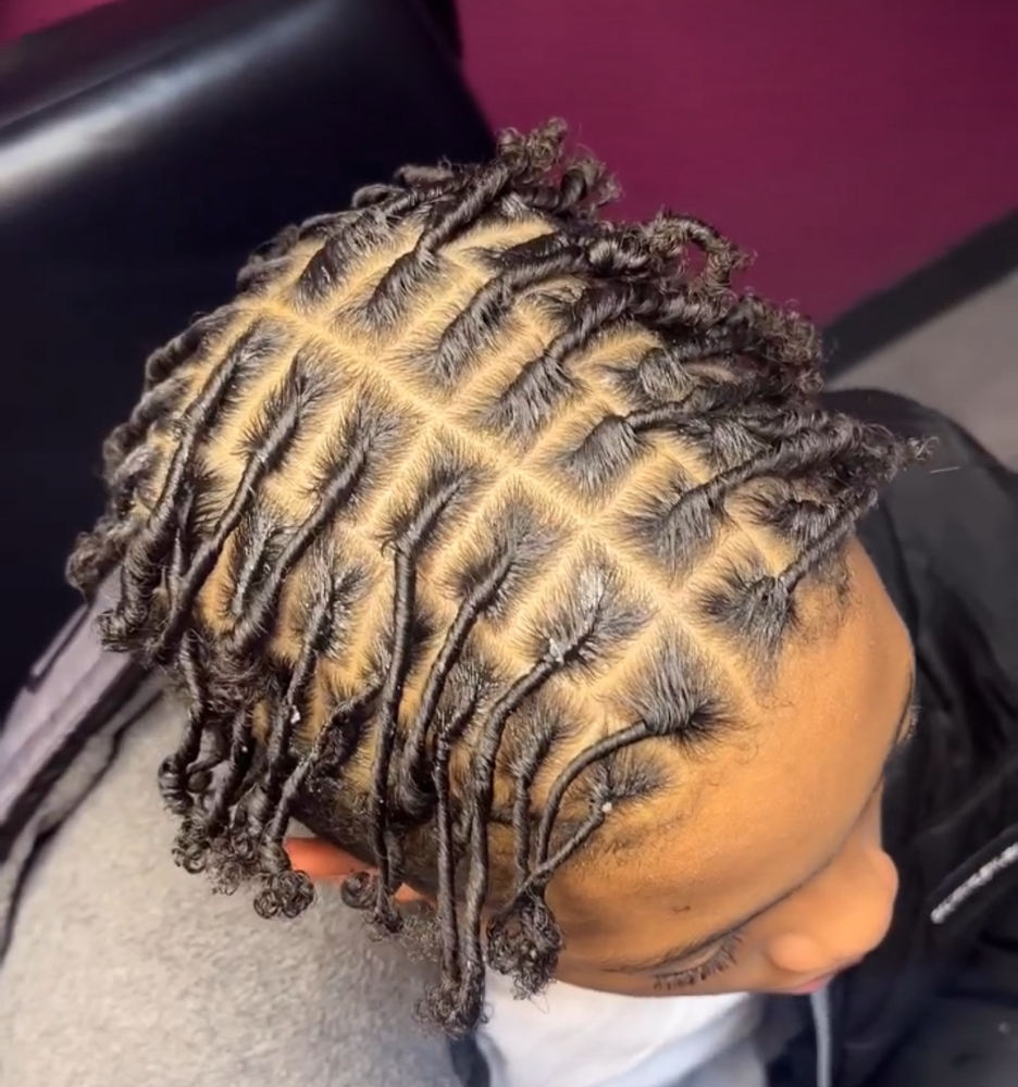 Starter Locs