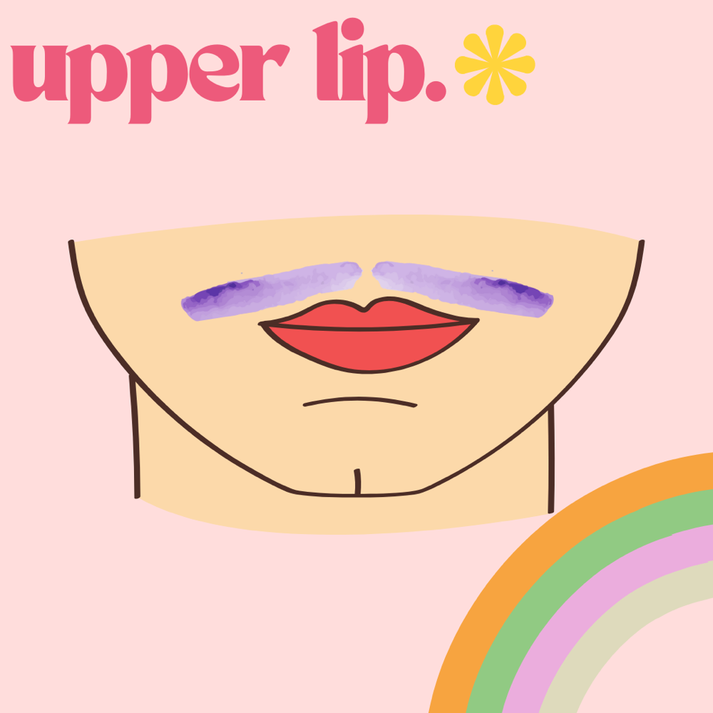 Upper Lip