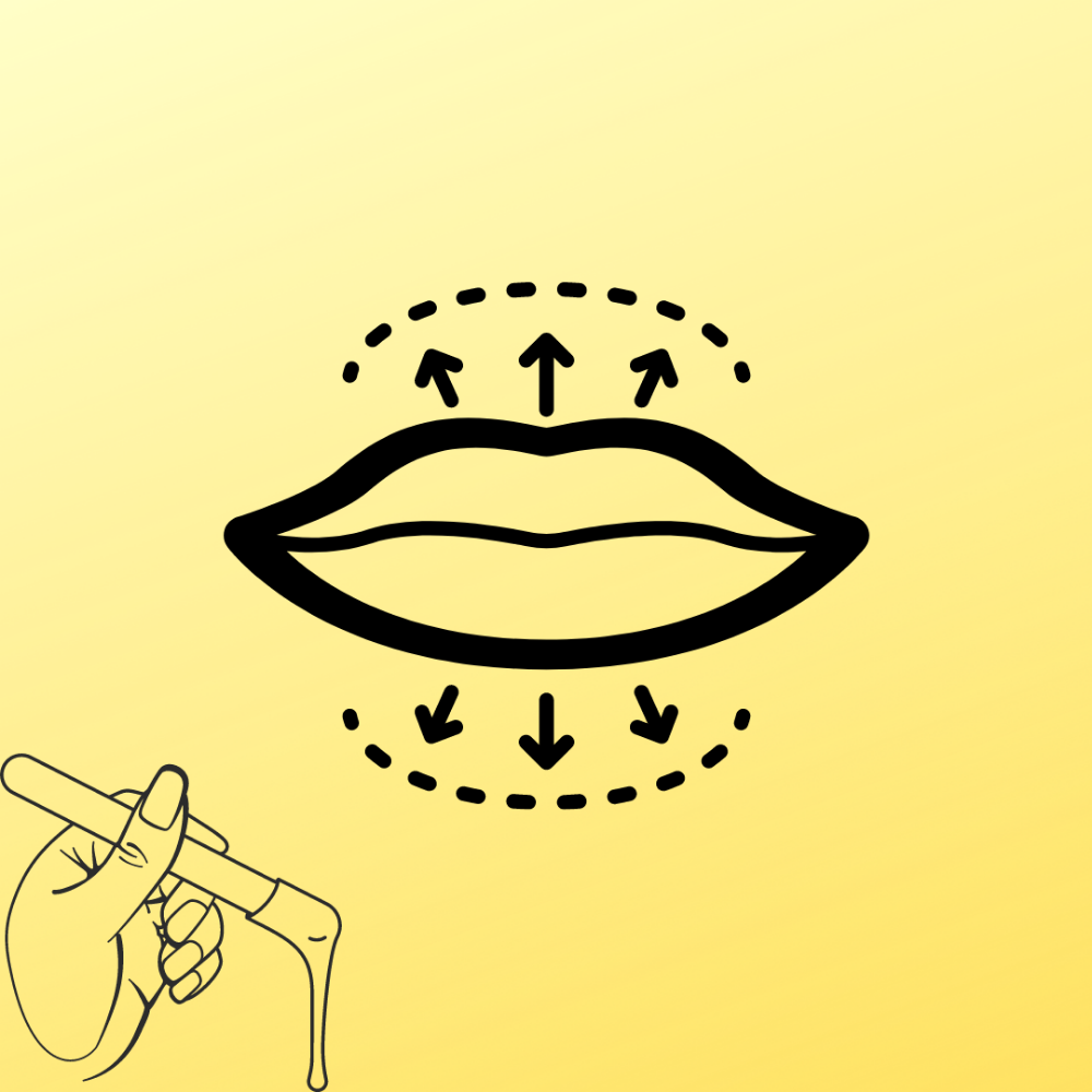 Upper Lip Wax