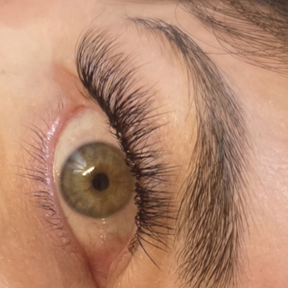 6D HYBRID SET at Lashes by Sadie in Arab, AL