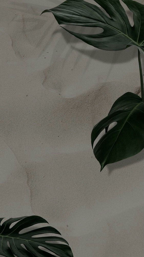 Back Treatment