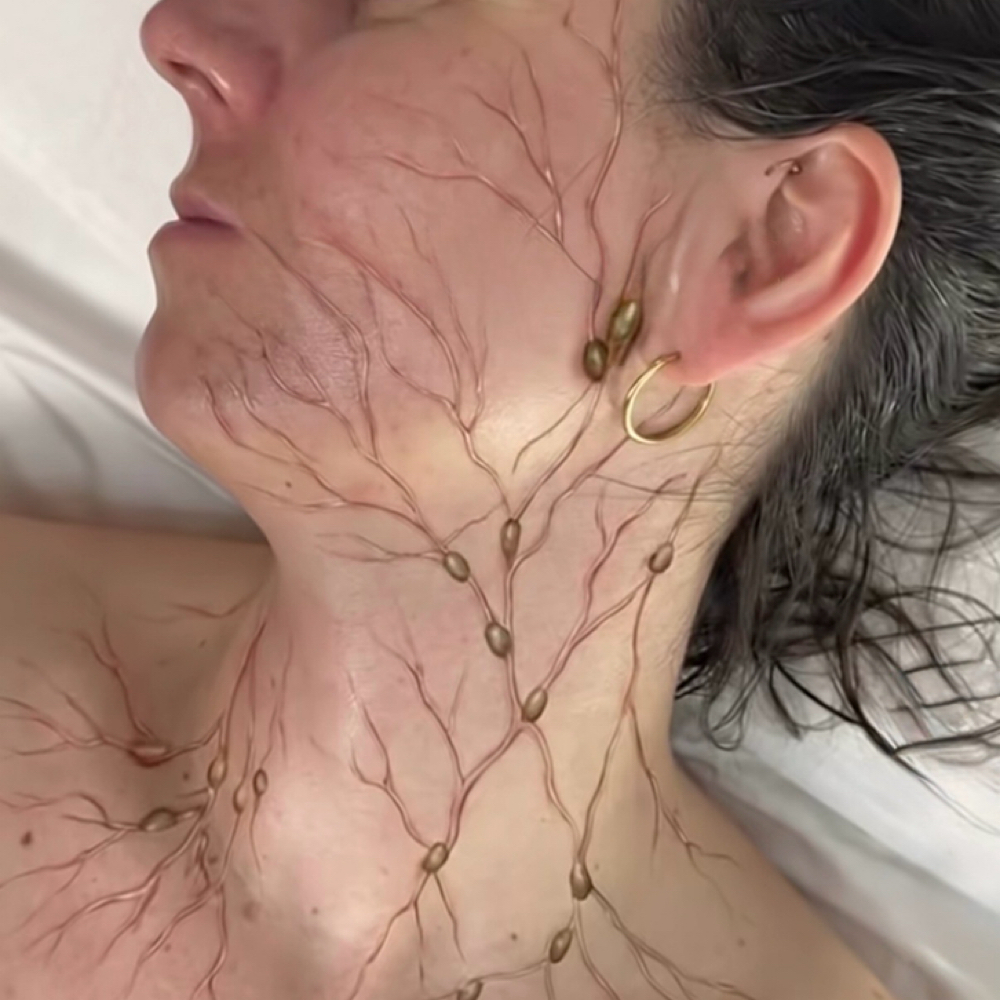 Lymphatic Drainage Facial at Skin Addiction by Kendra in Meridian, ID