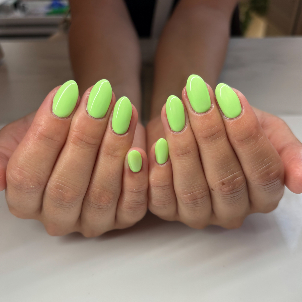 Luminary (Solid Color)