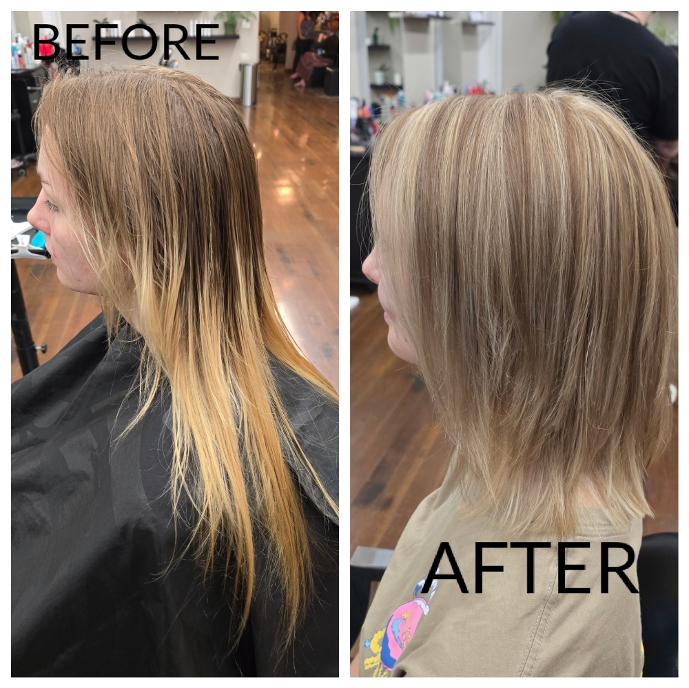 Full Highlights Or Lowlights