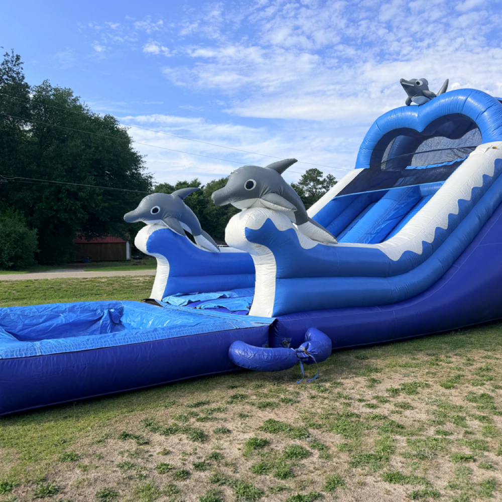Dolphin Water Slide at Evans & Associates LLC in Fayetteville, NC