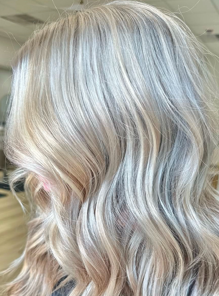 Full Highlight