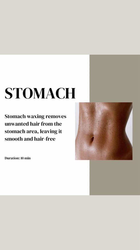 Stomach