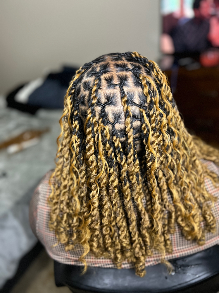 Braids/Twist Over Locs at Braided Perfection in Fayetteville, AR
