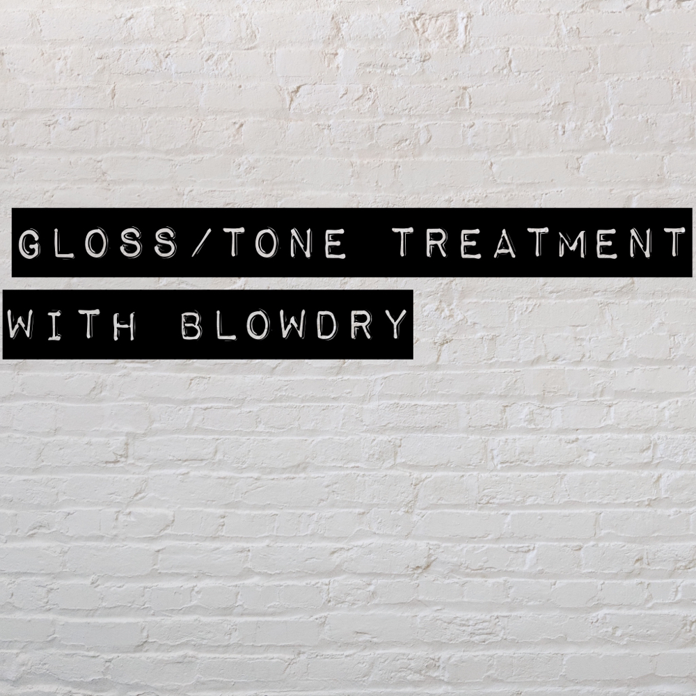 Gloss/Tone + Blowdry