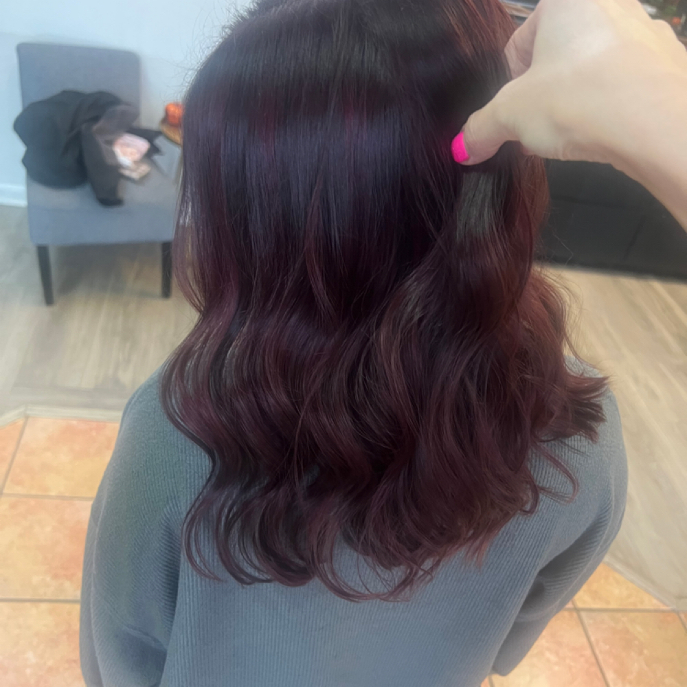 All Over Color at Glamorous Beauty By Alisha Woodson in Jonesboro, AR