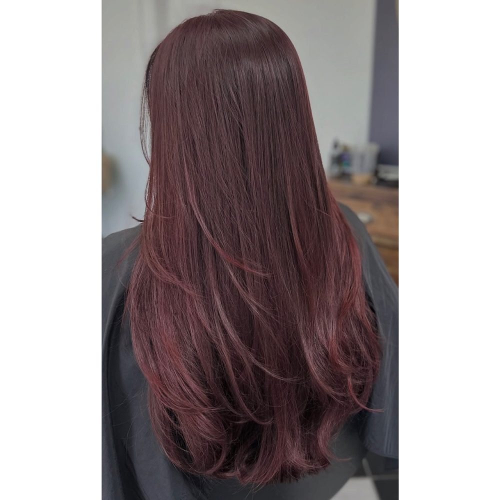 Haircut at Shades And Sage in Fall river, MA