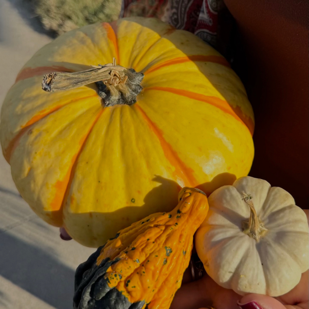 Autumn glow ritual at Ethereal Glow Esthetics in Jefferson City, MO