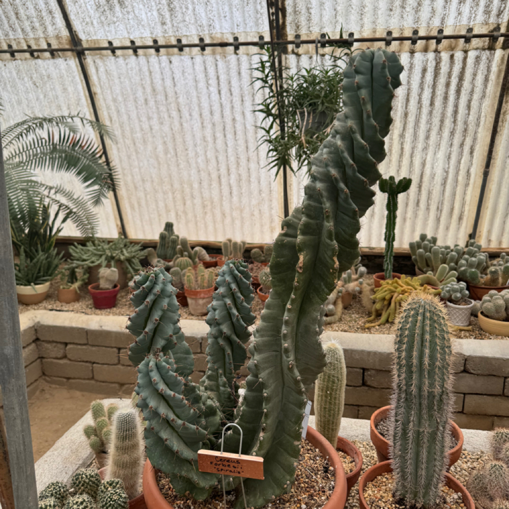 Hair Consultation at Indigo Salon @ Beaumont in Lexington, KY