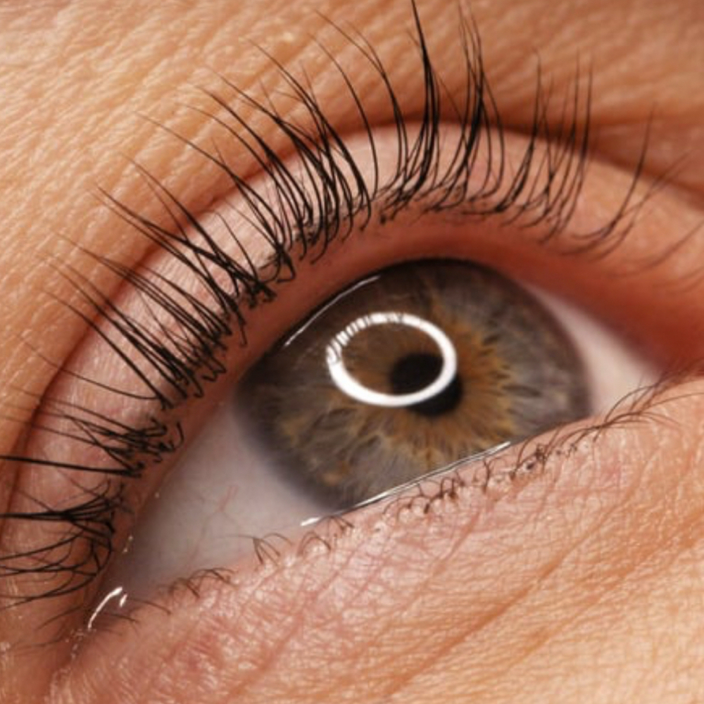 Lash Lift at Becca Davis Aesthetics in Friendswood, TX