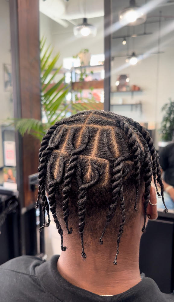 Two Strand Twists