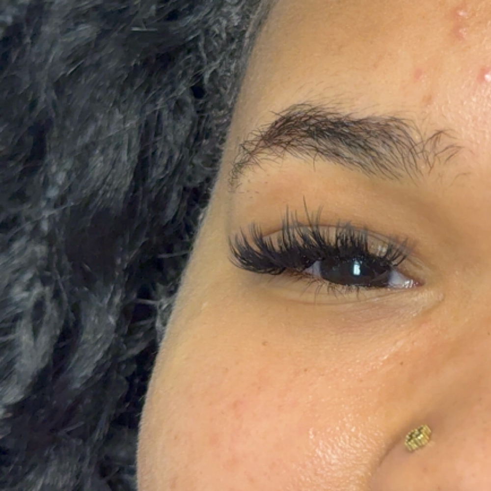 Wispy Hybrid at BodyPlusBeauty in Durham, NC