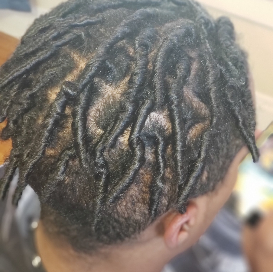 Starter Locs