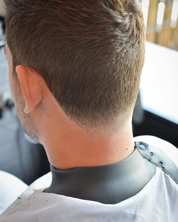Clipper Cut
