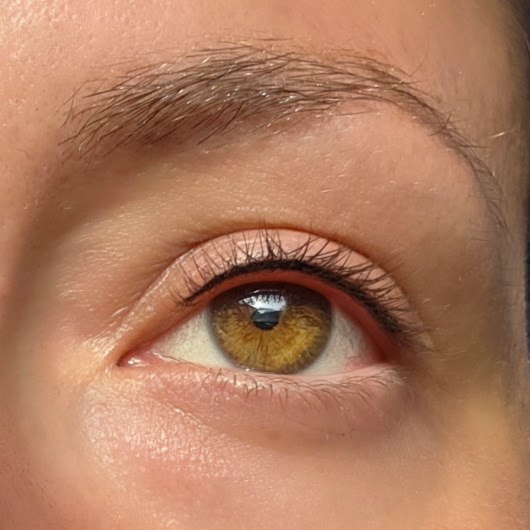 Lash Line Enhancement PMU at INK MY FACE in Grand Junction, CO