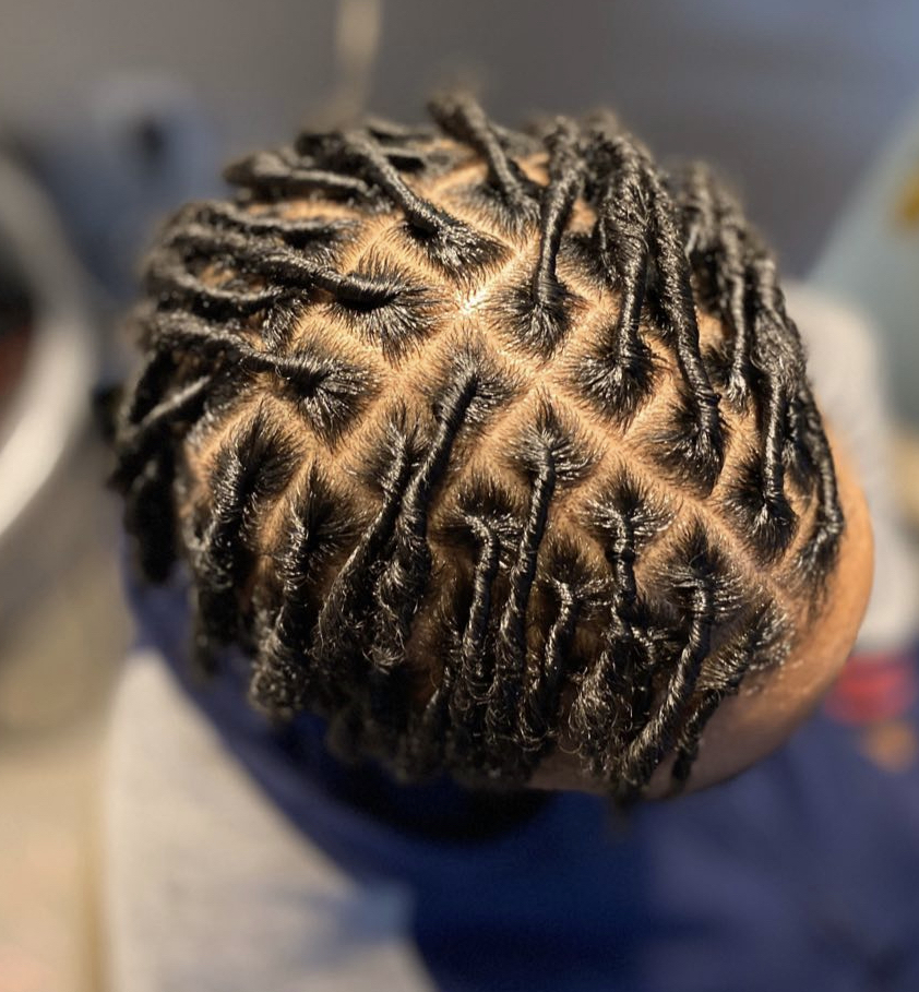 Starter Locs Start At