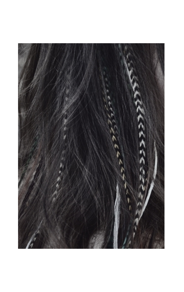 Feathers