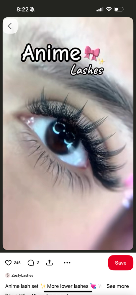 Anime Style Lash Extensions
