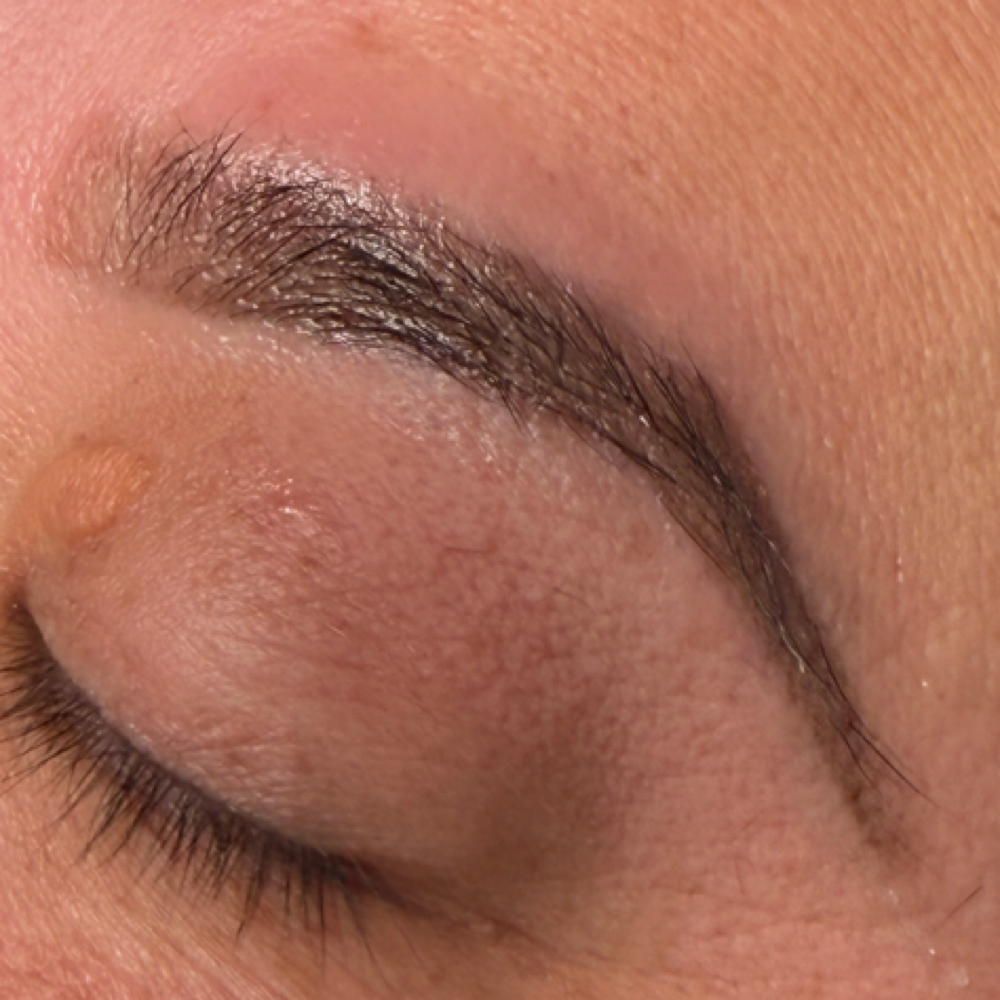 Eyebrow Wax And Tint at Mitos For Hair in Union City, CA