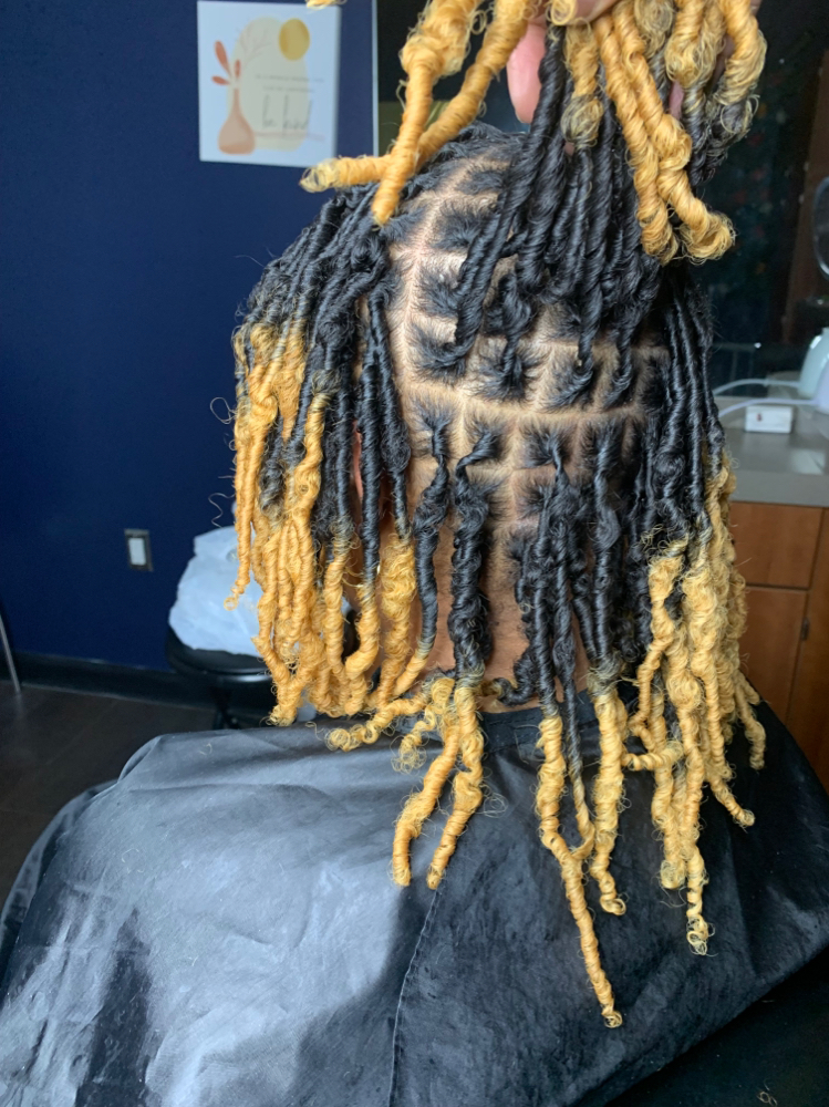 Starter Locs