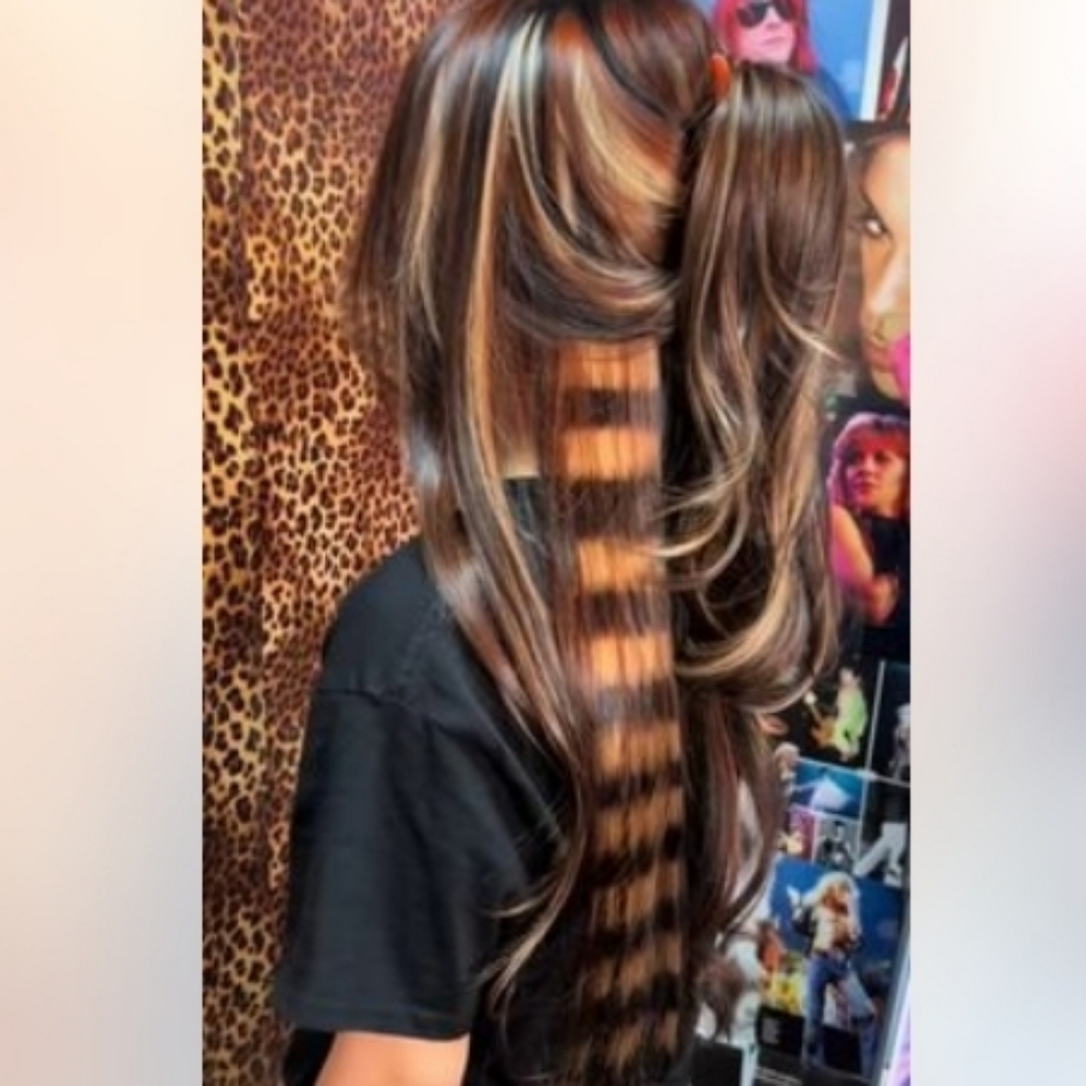 Racoon Stripes at Blended Edge Salon in Great Falls, MT