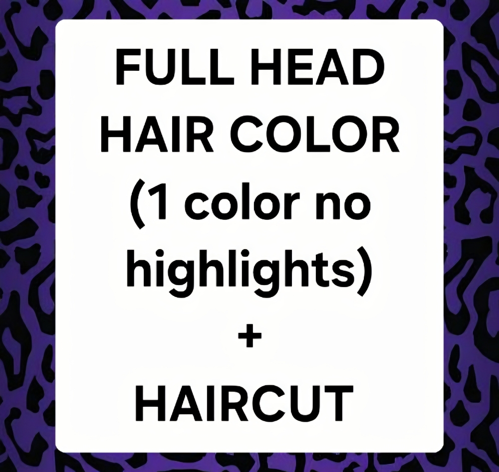 Full Head Hair Color + Cut ($236) at WILDCAT HAIR STUDIO in San Diego, CA