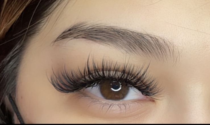 HYBRID FULL SET at LASH JUNKIE BEAUTY BAR in OAKBROOK TERRACE, IL