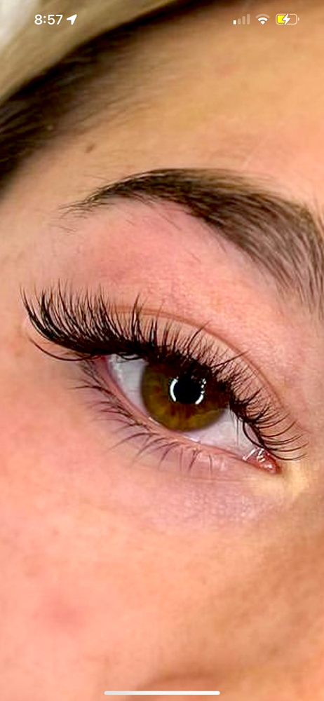 Hybrid Lashes