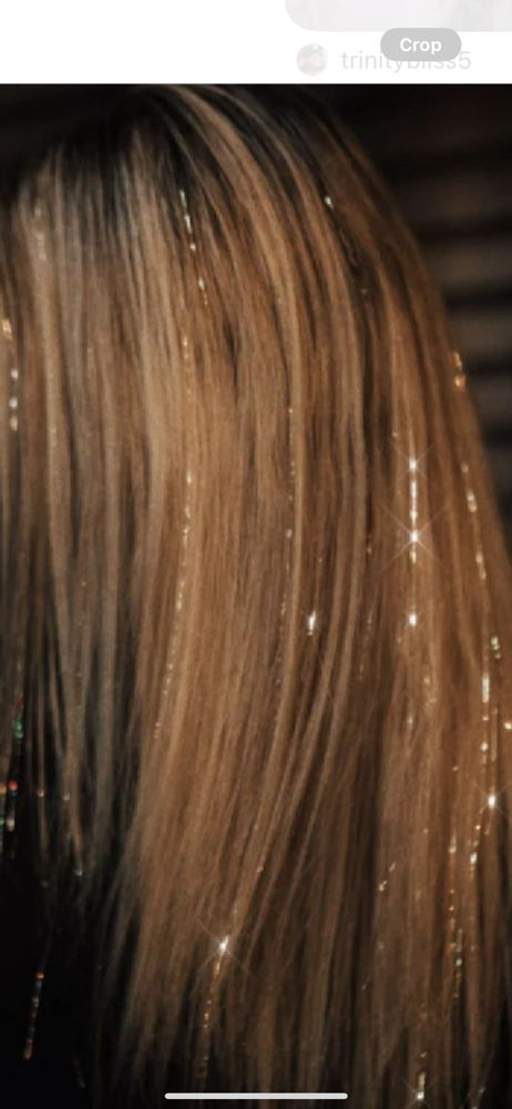 Hair Tinsel ✨