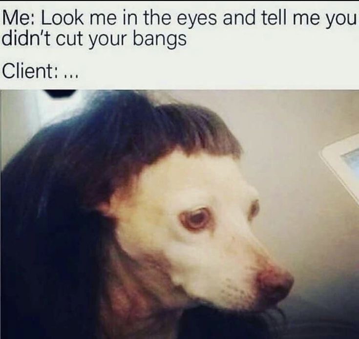 Bang Trim